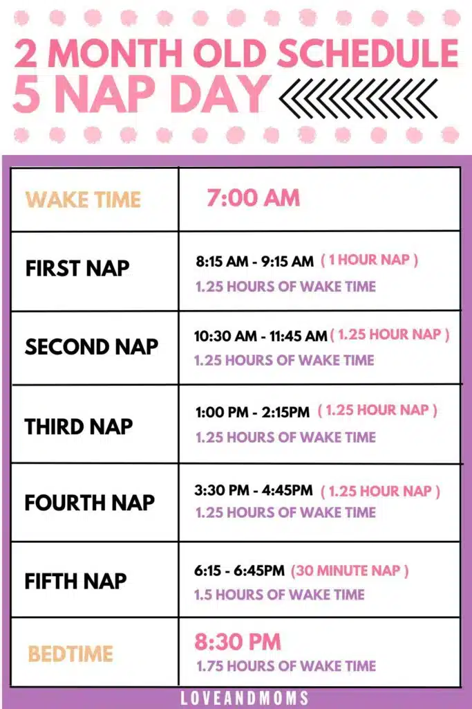 schedule for 2 month old 5 nap