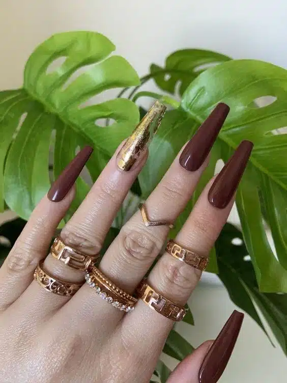 dark brown with accent gold nail