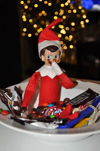 Elf Eats Chocolate