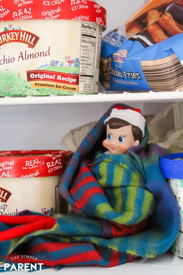 Elf is in the Freezer