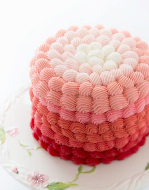 Pink Ombre Shell Cake