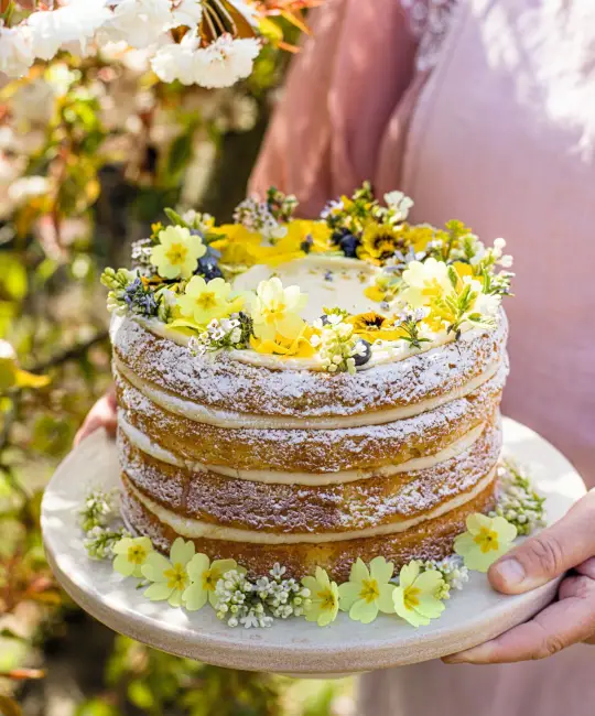 Primrose Lemon Layer Cake