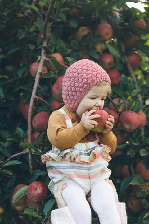 Apple Orchard Snacking