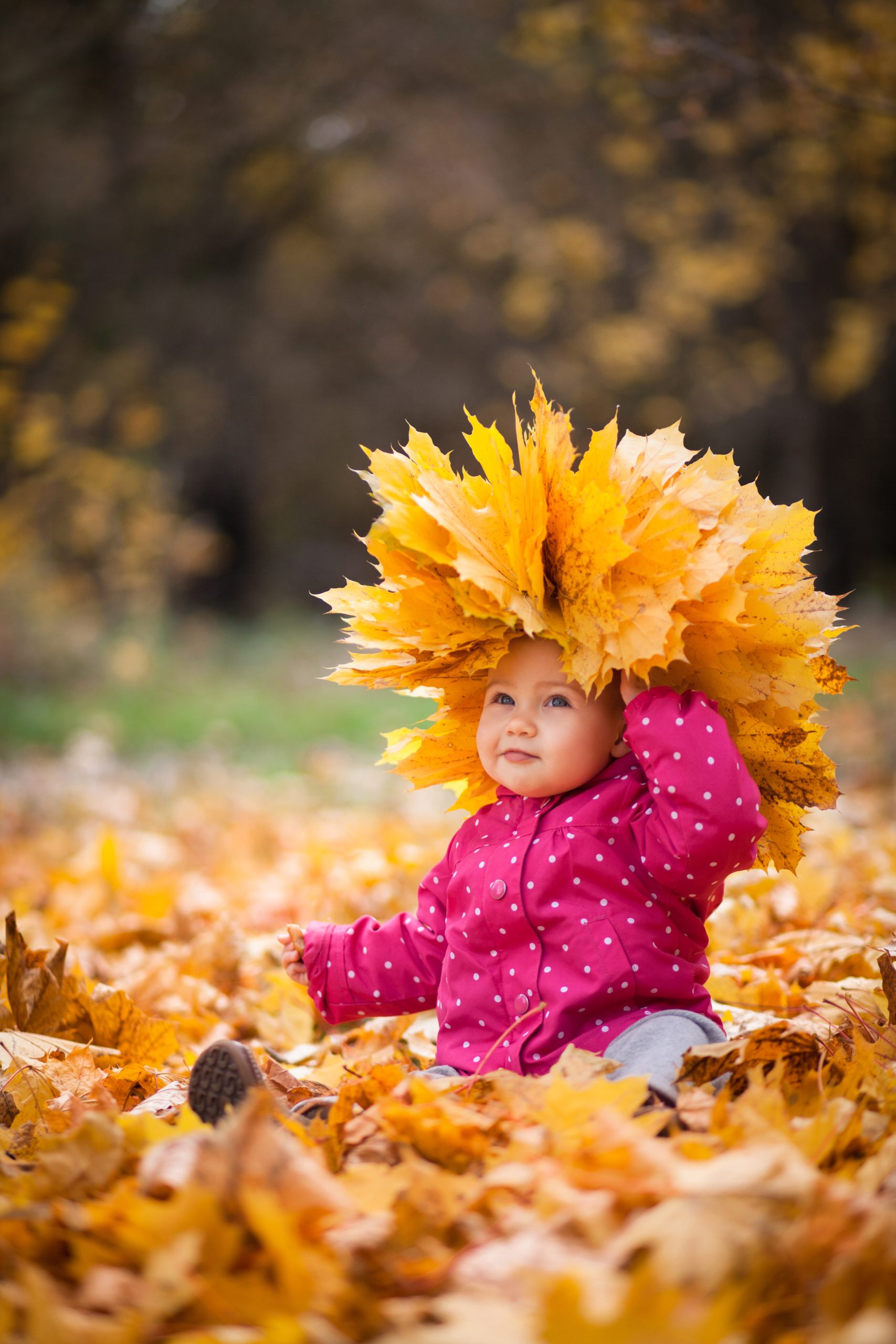 Baby Leaf Crown scaled