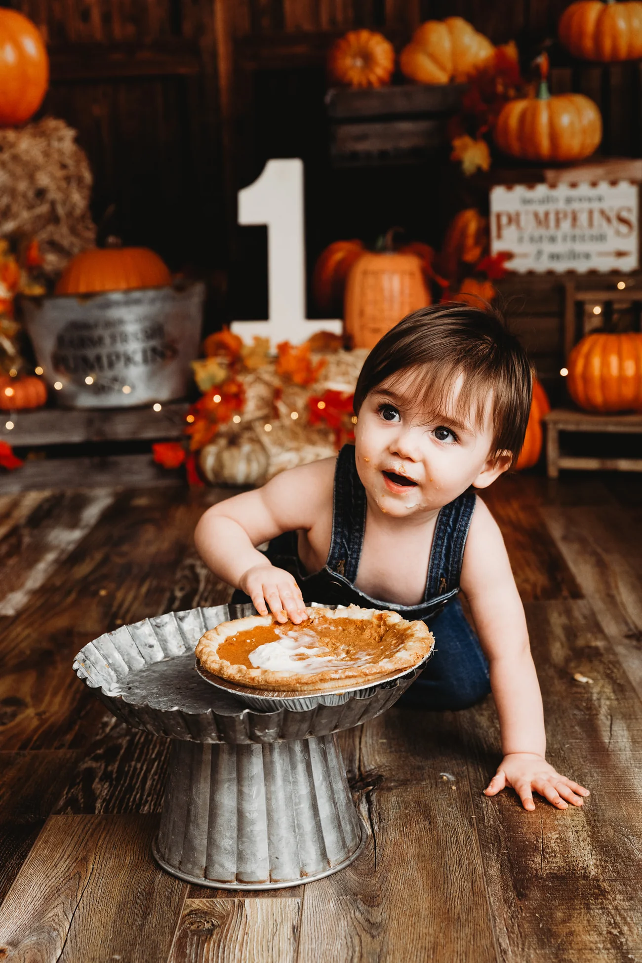 Pumpkin Pie Baby