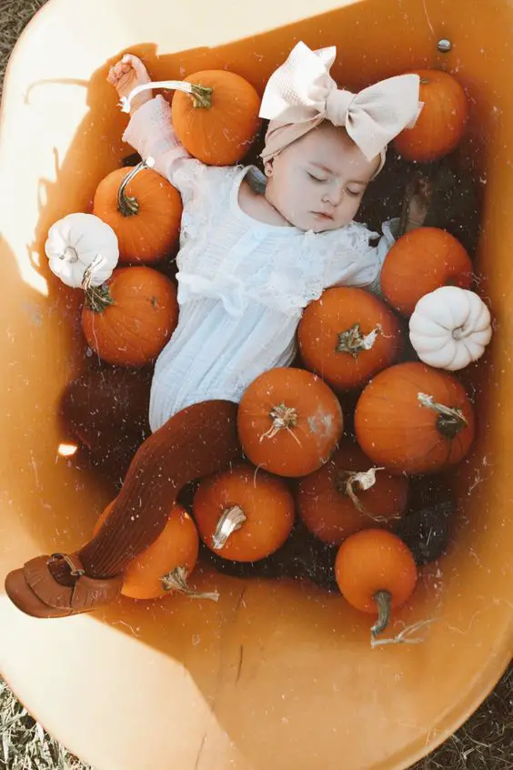 Pumpkin Wheel Barrow