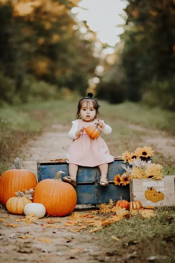 Sunflowers and Pumpkins