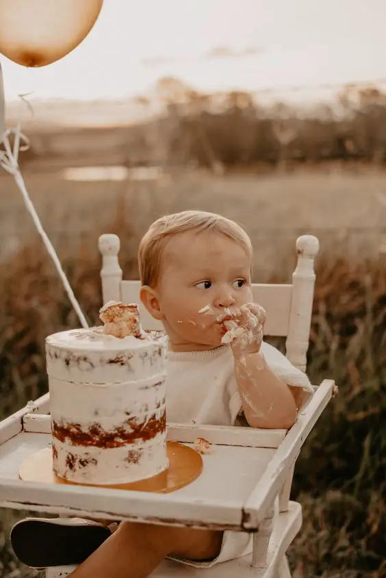 Wheat Field Cake Smash